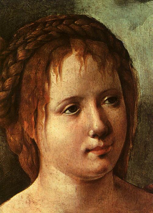 Jan van Scorel Head of a Young Girl Spain oil painting art